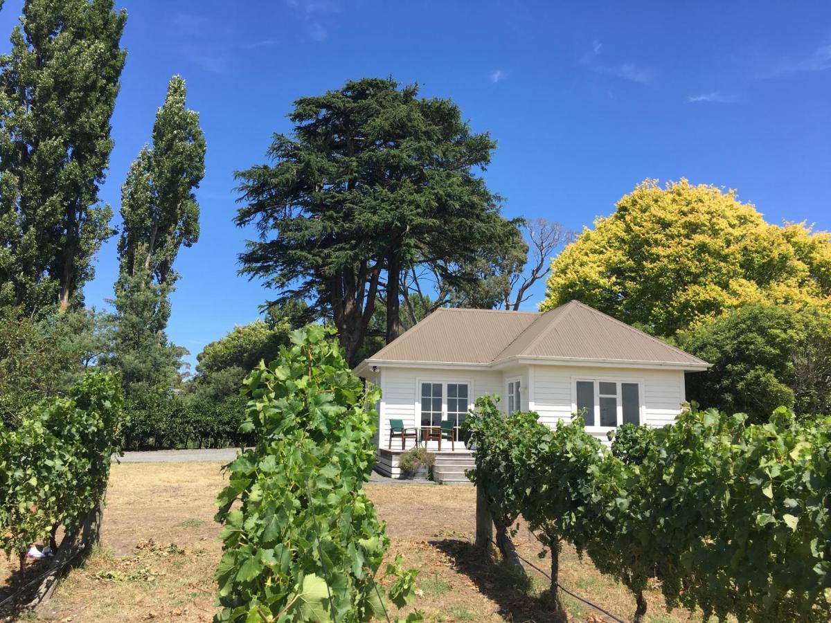 Tuki Vineyard Cottage هافلوك الشمالية المظهر الخارجي الصورة